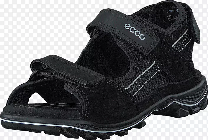 ţ��Ь-������