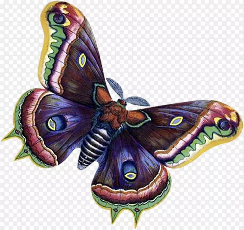 ���������ɶ격�ͼ�����-����-������