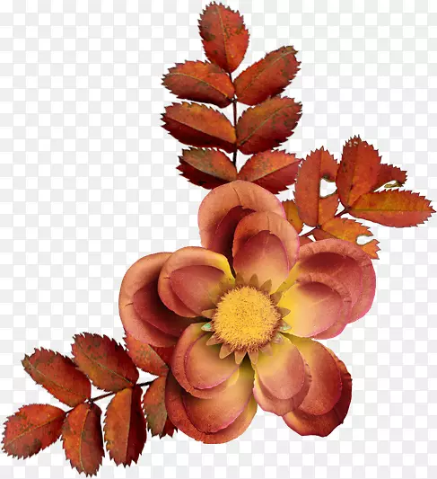 ���벩���л�����-������