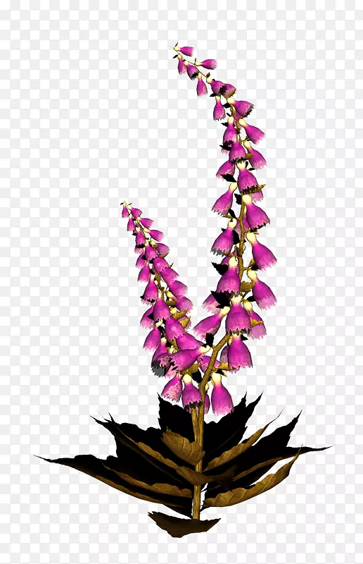 �ȸ�ͼƬ-������