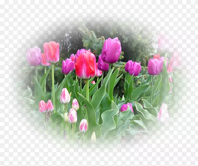 �������л�ˮī���������-������-������