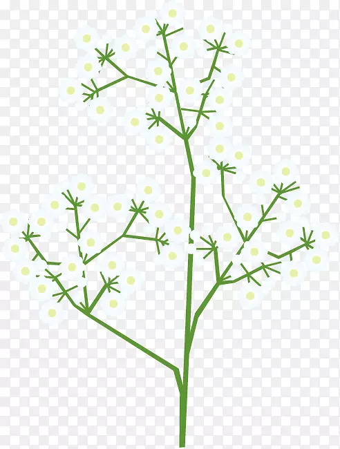 ��֦�л���ֲ�ﾥ������ֲ��-����-������