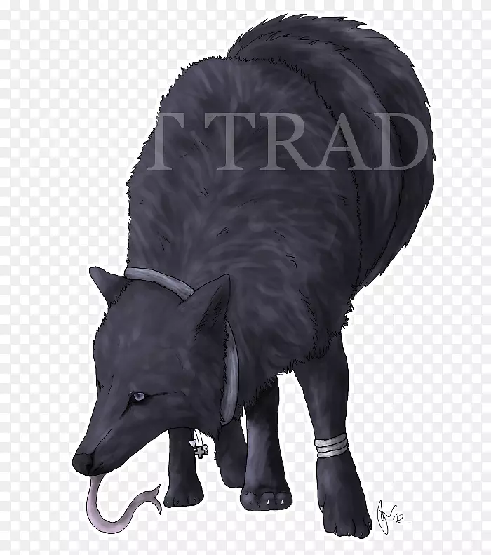 ��ëƤ-���-������