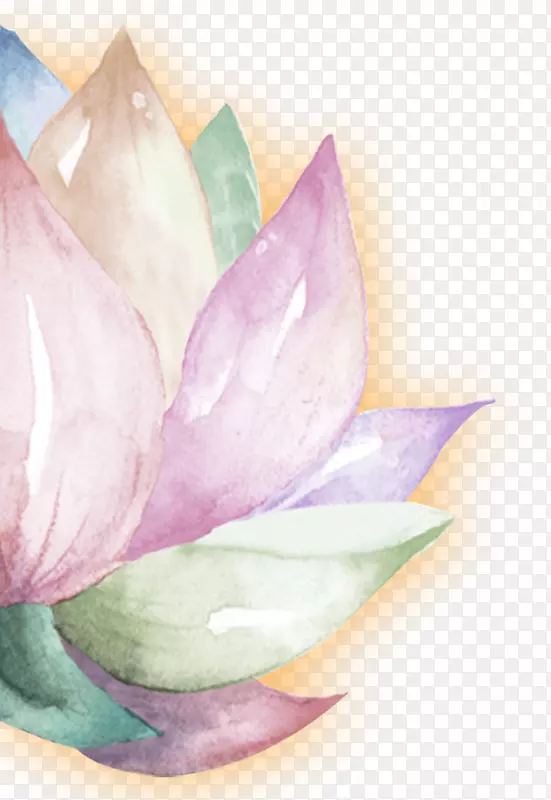 ˮ�ʻ�-����ˮ�ʻ�-������