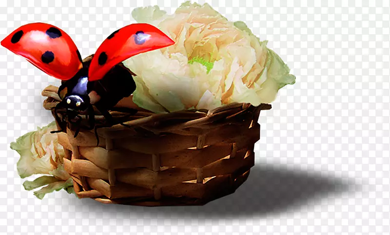 ����ư�������.ư��-������