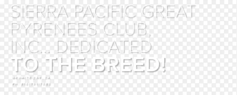 �����ţ˹���ͳ�ʯ�͹�˾�ڸ����¹�˾�����������ţ˹-������