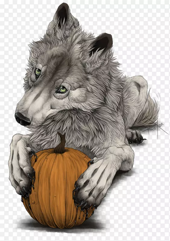 ����è�룬ëƤ����-��ʥ�ڿ���-������