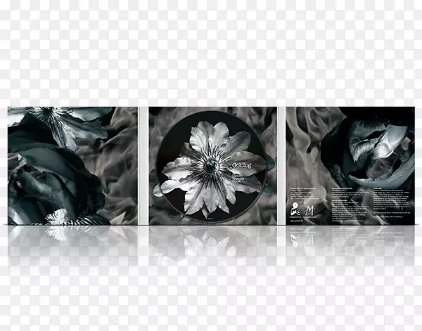 ���ְ�ɫ���µ�С��-������