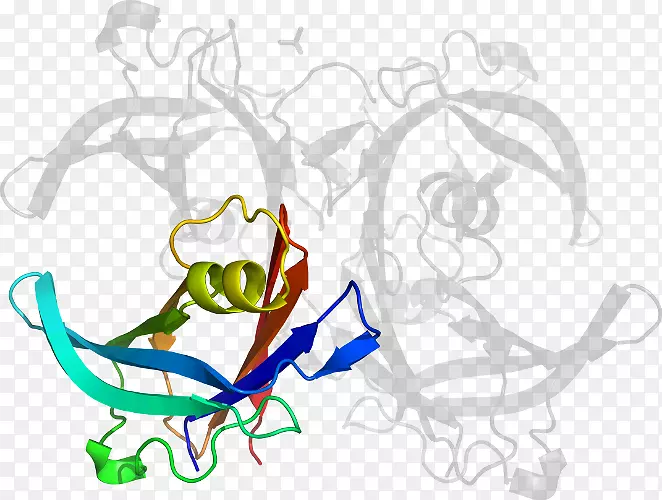 ƽ��������������������-������