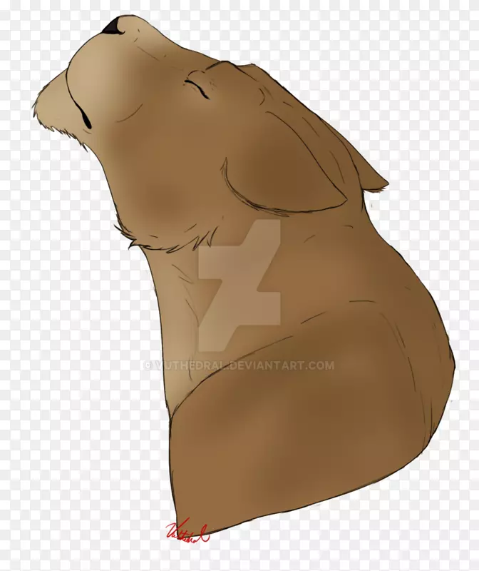 ����-�ļ�����-������