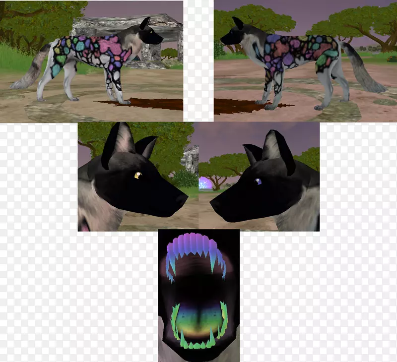 ����-Narwal-������