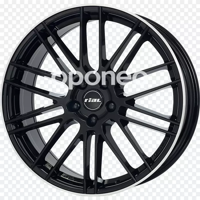 �����Ͻ��ֿ���˹�ս����������-����-������