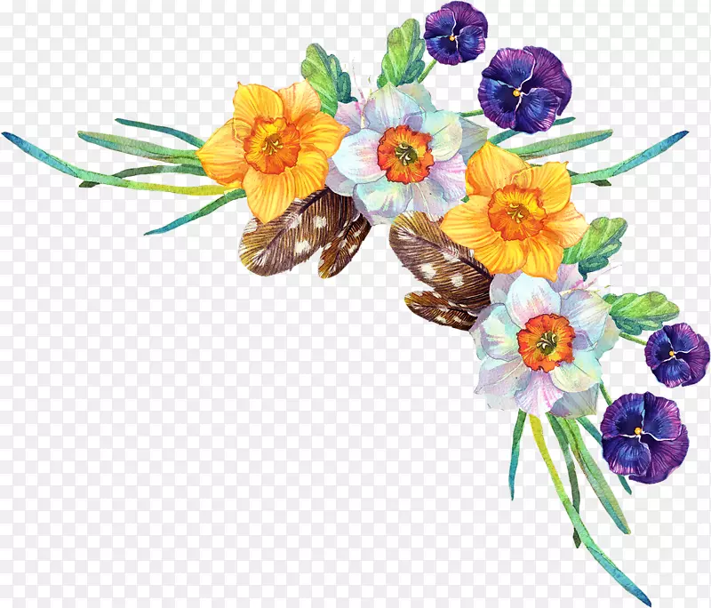 ���زʻ滨��-������