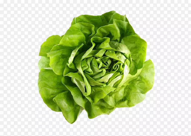 ţ������Ҷ��Ʒ��-����-������