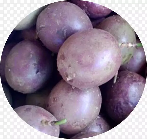 �������ܲ��龥ʳƷ-������-������