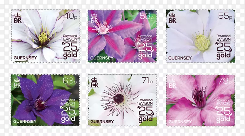 �ж�����չƤ�ﻨ��ֲ��԰��-ֲ��-������