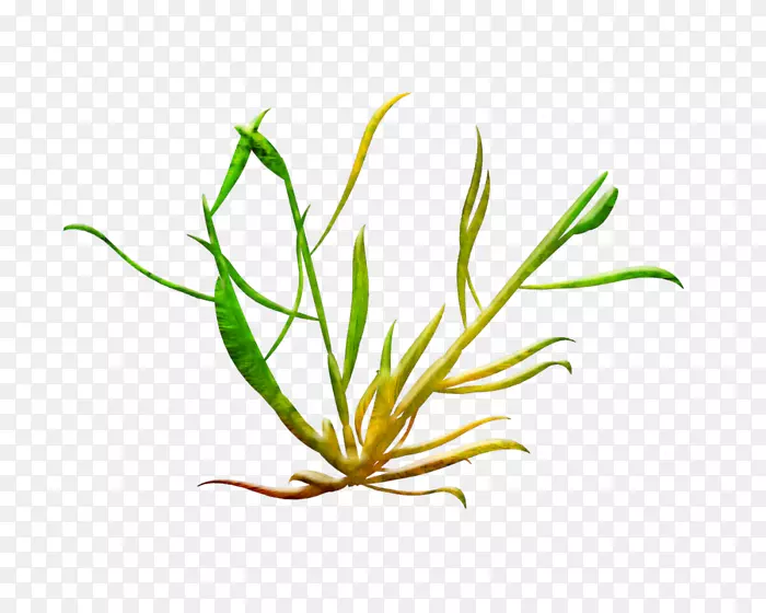 ���������-������