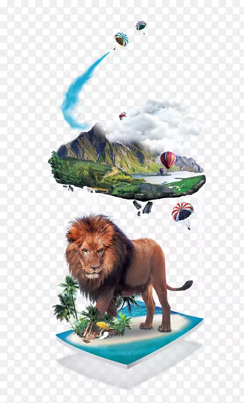 ����ɭ��-������