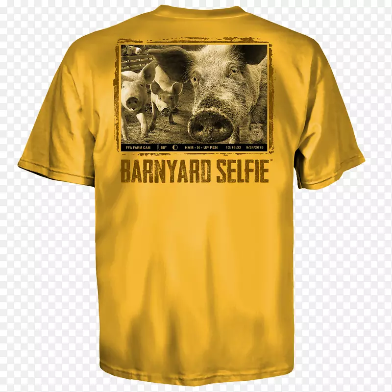 t����װ������t��-������