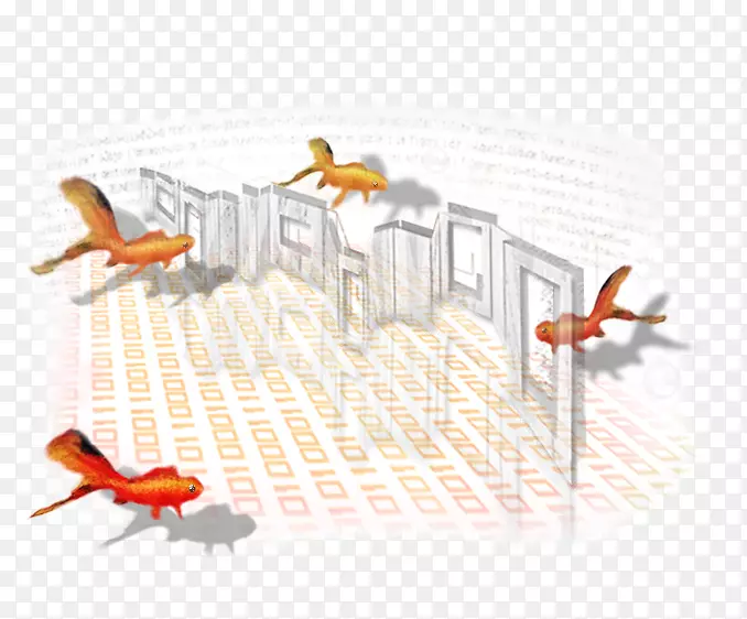 �����ý������-������