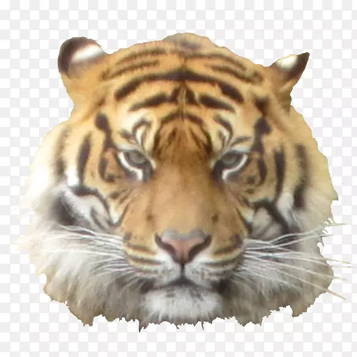 �׻�-������