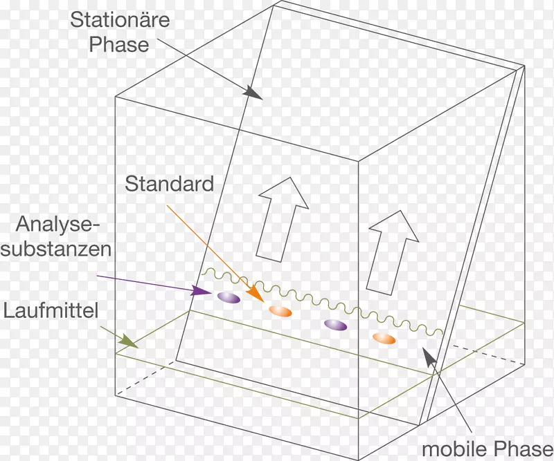 �ߵ����-������