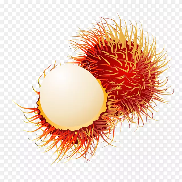 �Ե����װ�ĺ�Ǽ�����-����������-������