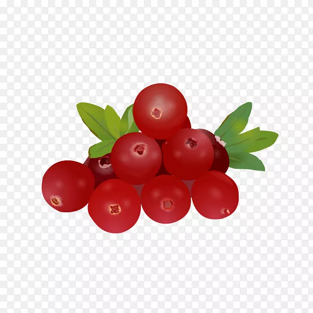 ⨺��ҡ��ͰͶ�˹ӣ�ҡ�Խ��-���µ�֦Ҷ-������