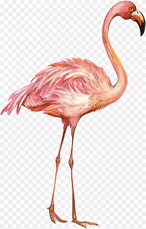 �������콡������ͯ����-������