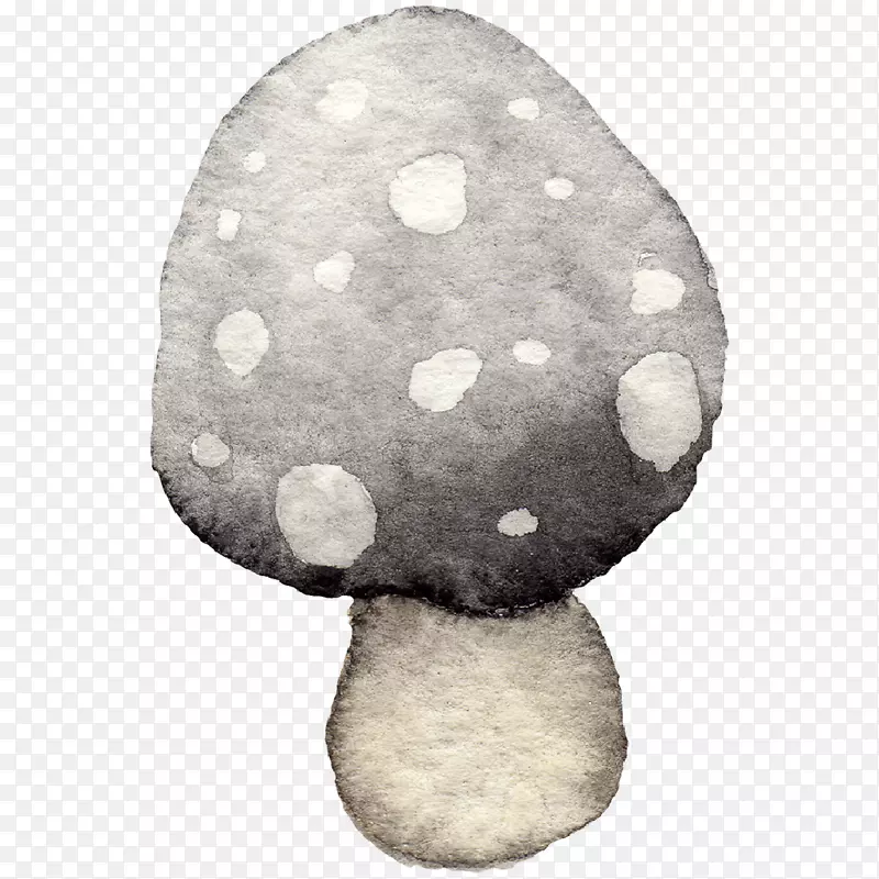 ����-�ִ�����-������