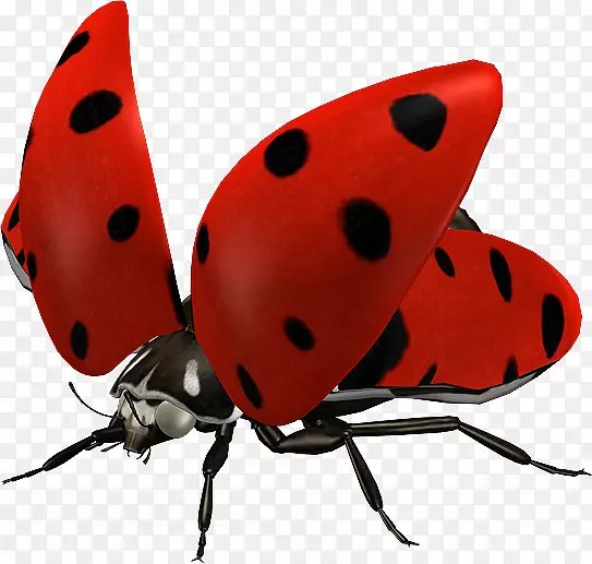 ư�����������.ư��-������