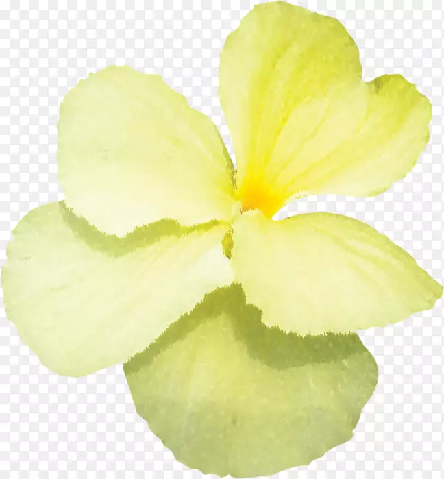 ����ֲ��ݱ�ֲ��-������