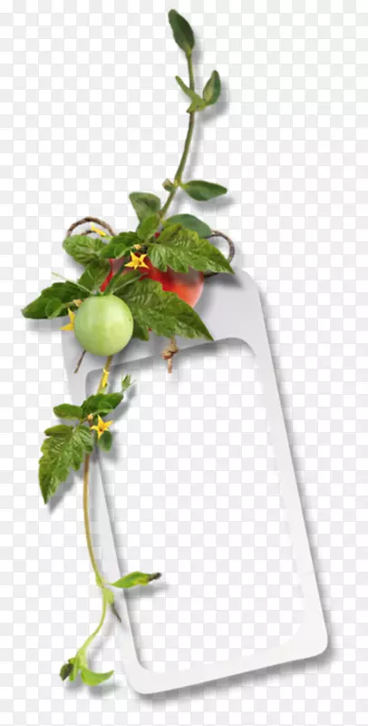 ����������RSS-������