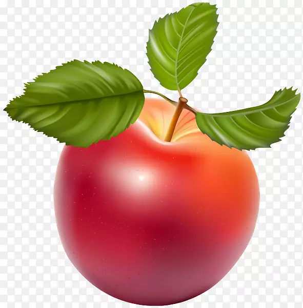 ƻ��������-ƻ��-������