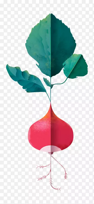 �߲���ʳ��ʳ-�߲�ͼ��-������