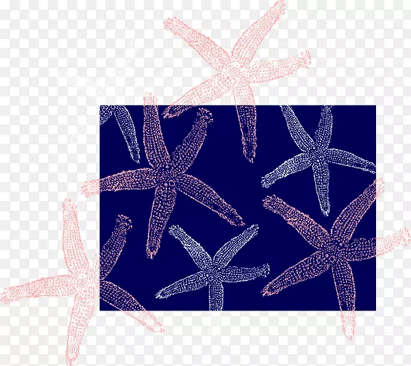 ���ǰ���-������