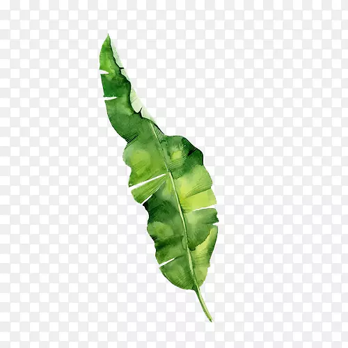 Ҷˮ�ʻ��ȴ�-Ҷ-������