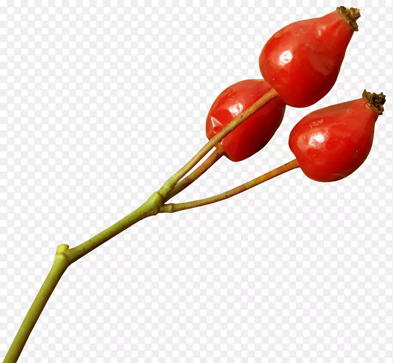 �¸����ɹ����Դ�����Ƭ��������-u��-������