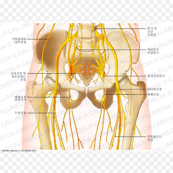 �������Źؽ��������������ϵͳ-������