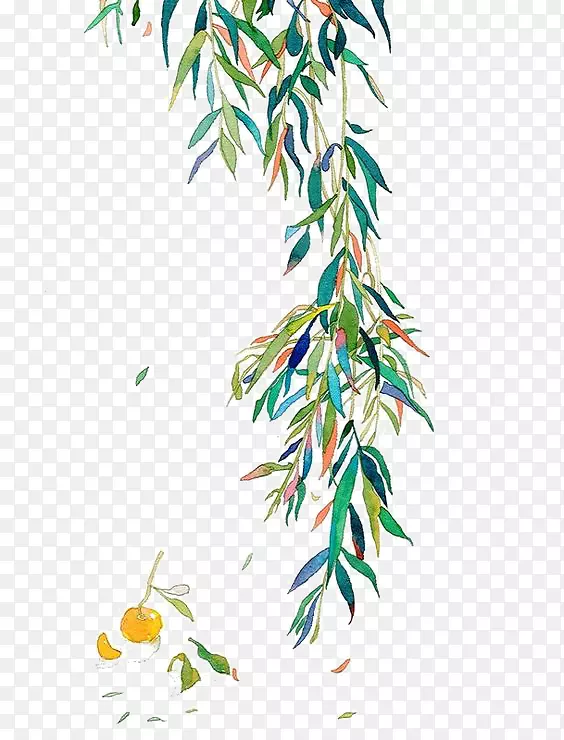 ˮ�ʻ�Ҷ֦ˮ�ʻ�Ҷ-������