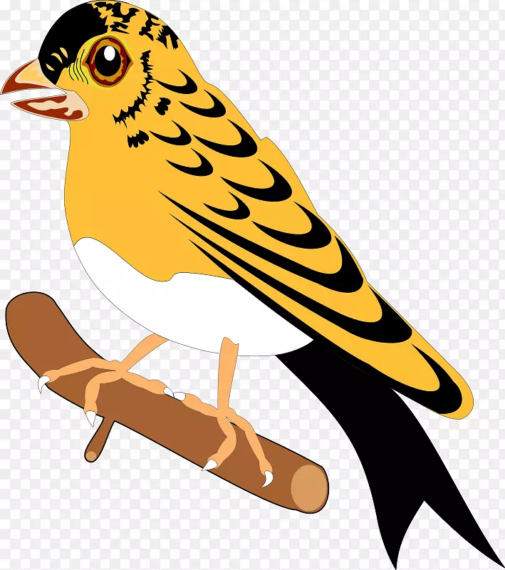 ���������-��-������