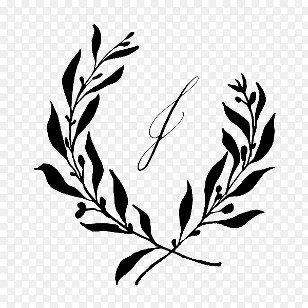 Сֲ֦�ﾥҶ����ֲ�������Ҷ-������