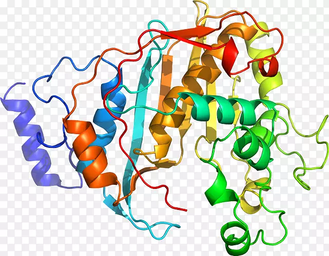 �ߵ������������-������