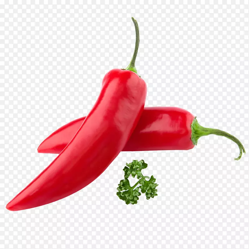 ��ȸ�����˽�ʳ��Ժ�����-������