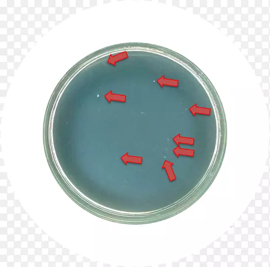 �;�����-����ѡ��-������