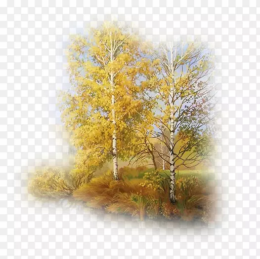 ������ҳ��ѧѧ����ʾ-������