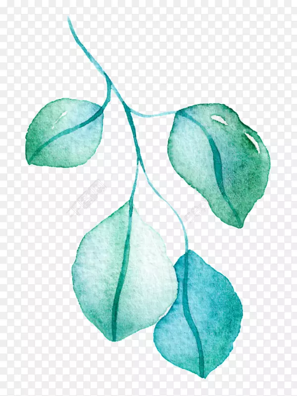 ˮ�ʻ�Ҷ�̻�-������