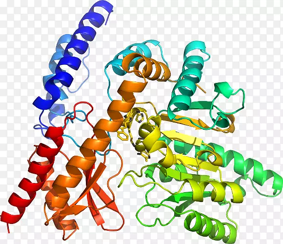 ���������鱦�л�����������鱦����-������