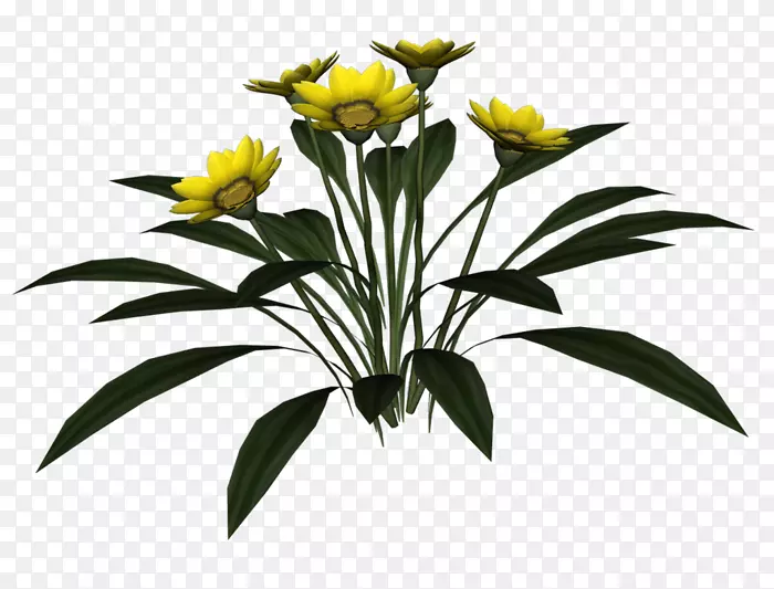 �л���õ�壬����-õ��-������