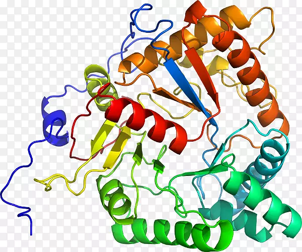 �ߵ������������-������